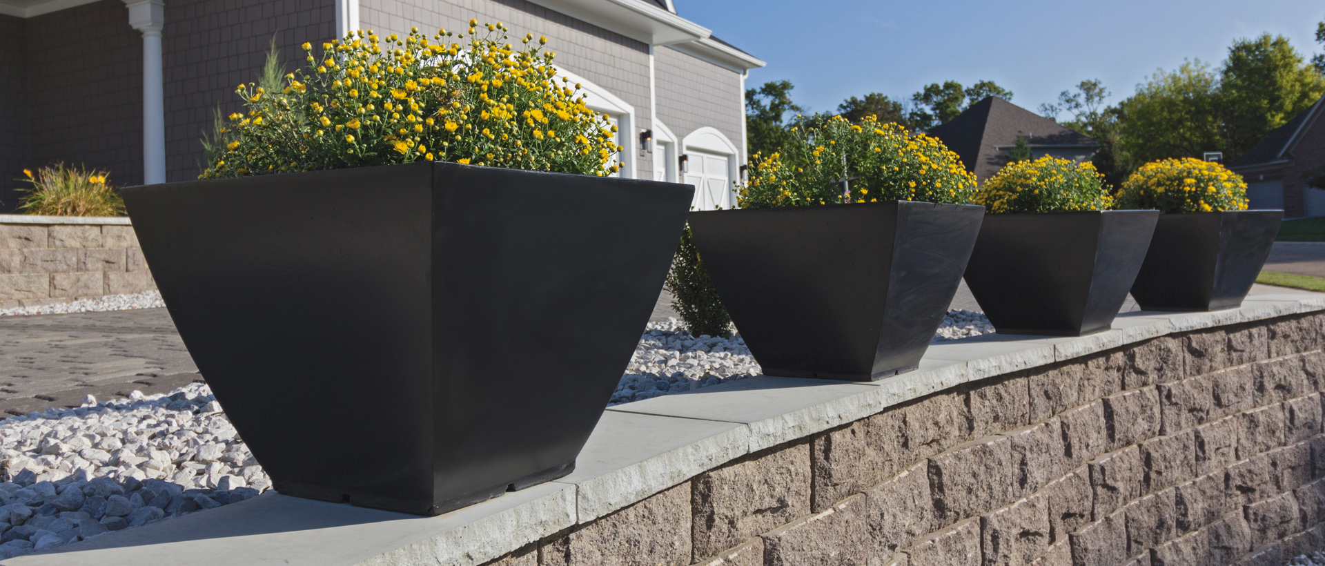 Cover Image 1