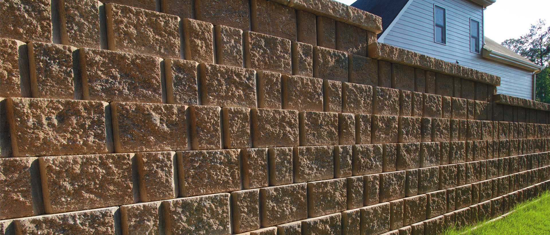 Cover Image 4